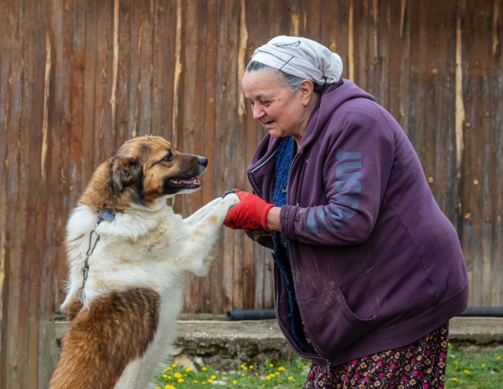 Companion animals aid isolated lonely people