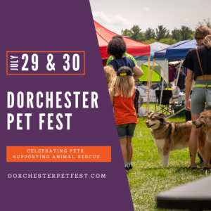 dorchester pet fest image with date july 29&30