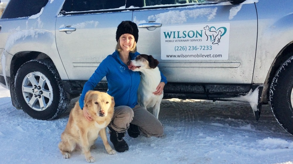 Dr. Amy and her two dogs in front of her mobile vet vehicle
