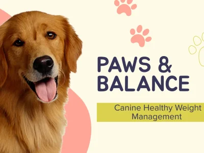 PAWS and Balance: Canine Healthy Weight Management