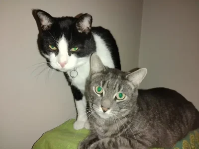 Image of Charlie and Rudy